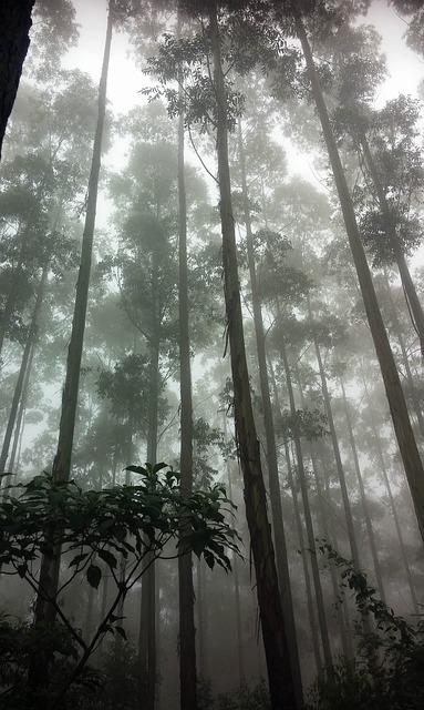 人类和石头都由原子构成，为何人类有思想而石头没有？